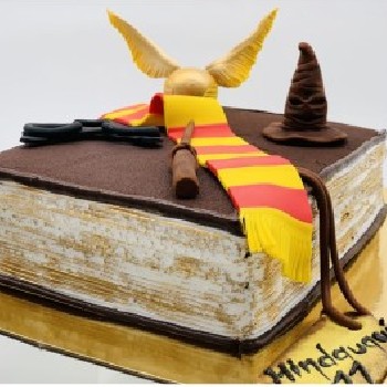 Vaikiškas tortas "Hario Poterio knyga"