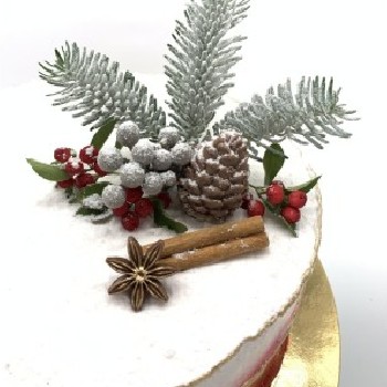 Christmas with a branch