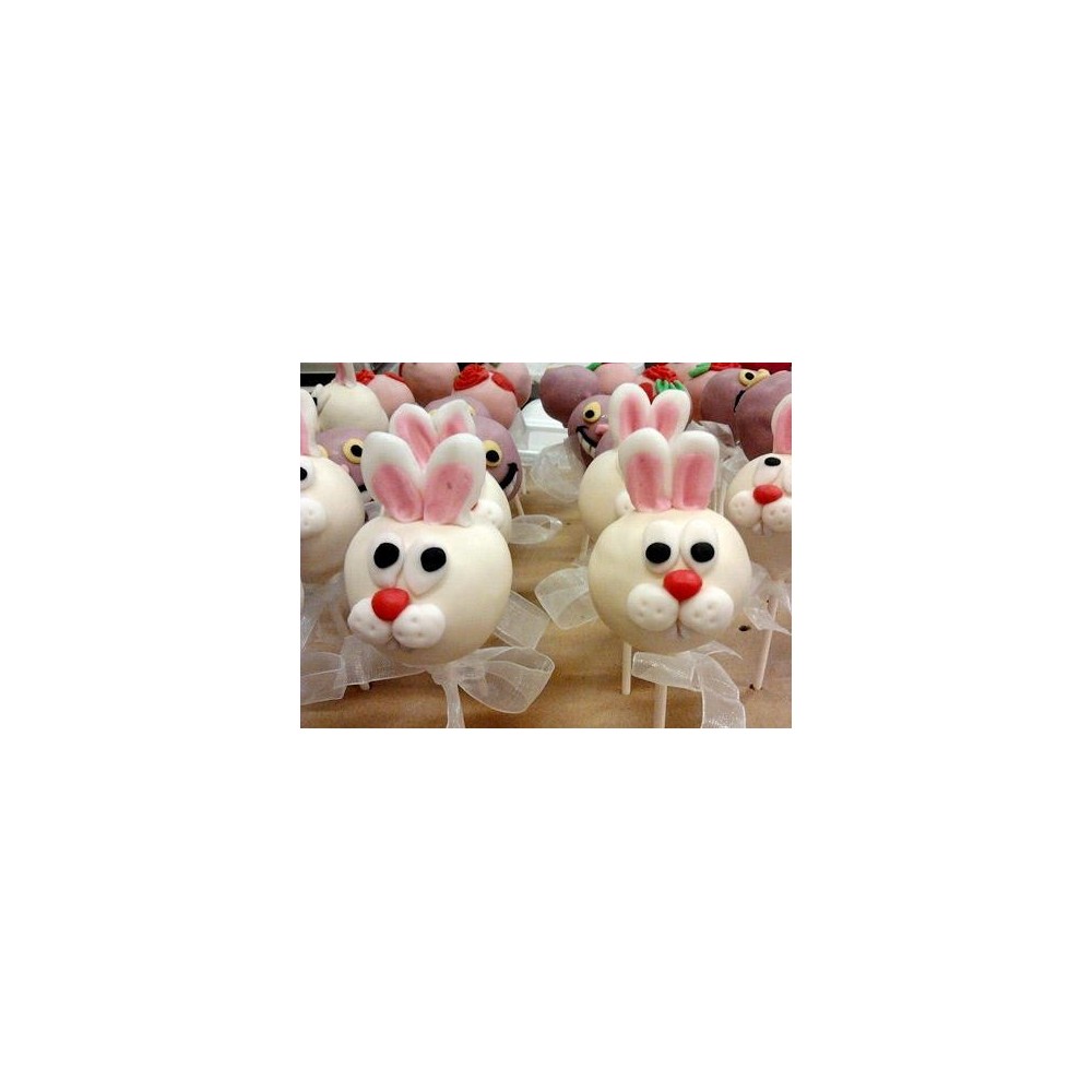 Pop cakes "Zuikučiai"