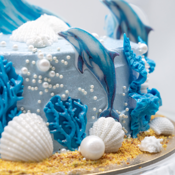Vaikiškas tortas "Delfinai"