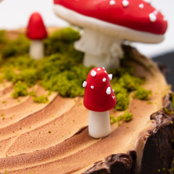 Vaikiškas tortas "Musmirė"