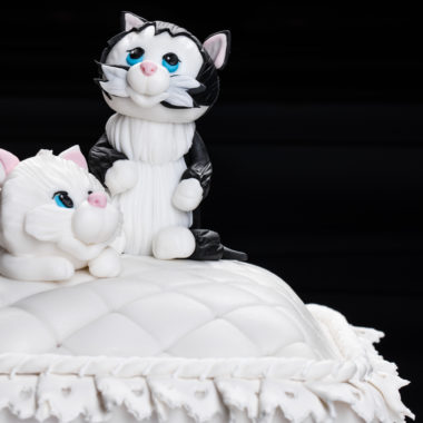 Tortas "Katinų vestuvės"