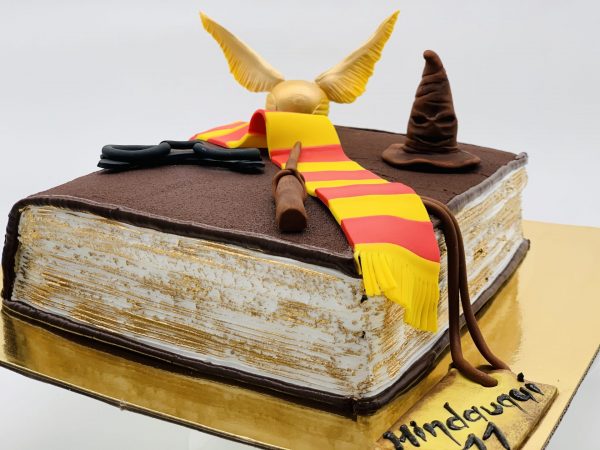 Vaikiškas tortas "Hario Poterio knyga"