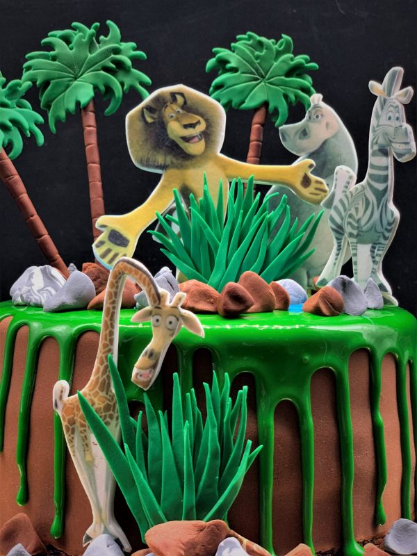 Vaikiškas tortas Madagaskaras