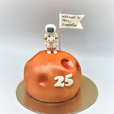 Vaikiškas tortas Sveiki atvykę į Marsą