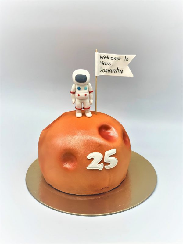 Vaikiškas tortas "Sveiki atvykę į Marsą"
